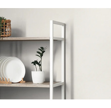 Detailansicht eines modernen Regals mit weißem Metallrahmen und Regalböden in Holzoptik, bestückt mit einem Tellerhalter und einer Zimmerpflanze.