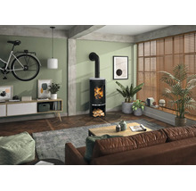 Moderner Kaminofen in einem hellen Wohnzimmer mit Parkettboden, Ledersofa und Zimmerpflanzen. Der Ofen brennt mit sichtbarem Holzfeuer.