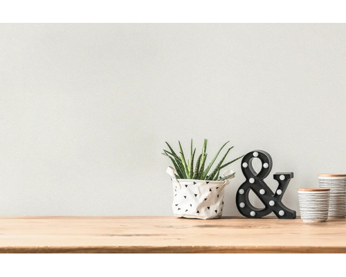 Moderne Innendekoration mit Aloe Vera im gemusterten Topf, LED-Ampersand und Keramikdosen auf einer hellen Holzoberfläche.