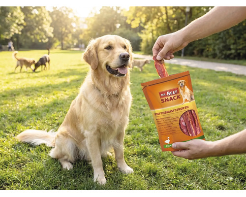 Ein Golden Retriever sitzt auf einer Wiese und bekommt einen Mr. Beef Snack Entenbruststreifen aus der Packung gereicht.