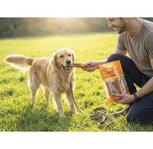 Ein Mann füttert einen Golden Retriever auf einer Wiese mit einem Hundesnack aus einer Packung von Mr. Beef Snack.