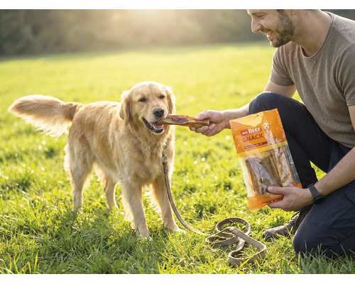 Ein Mann füttert einen Golden Retriever auf einer Wiese mit einem Hundesnack aus einer Packung von Mr. Beef Snack.