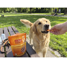 "Ein Golden Retriever wird im Park mit Mr. Beef Snack Hähnchenbruststreifen gefüttert