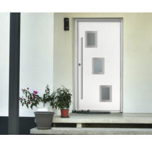 Moderne weiße Haustür mit drei quadratischen Glasausschnitten und Edelstahlstangengriff in einem hellen Eingangsbereich mit Pflanzen auf Stufen.