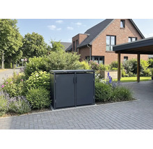Dunkelgraue Metall-Mülltonnenbox für zwei Mülltonnen in einem bepflanzten Vorgarten an einer gepflasterten Einfahrt.