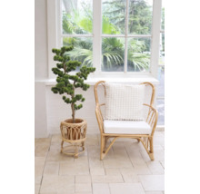 Helle Innenraumszene mit einem Pflanzenständer aus Rattan, einem künstlichen Baum und einem passenden Rattansessel mit Kissen vor einem Fenster.