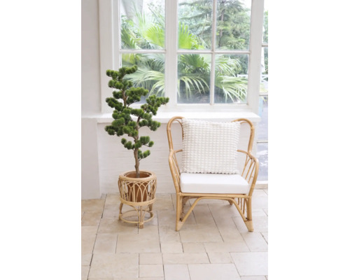 Helle Innenraumszene mit einem Pflanzenständer aus Rattan, einem künstlichen Baum und einem passenden Rattansessel mit Kissen vor einem Fenster.