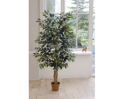 Künstlicher Ficus Benjamini im Topf in einem hellen Raum vor einem großen Fenster.