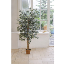 Künstlicher Ficus benjamina mit panaschierten Blättern in einem braunen Topf, stehend in einem hellen Raum vor einem Fenster.