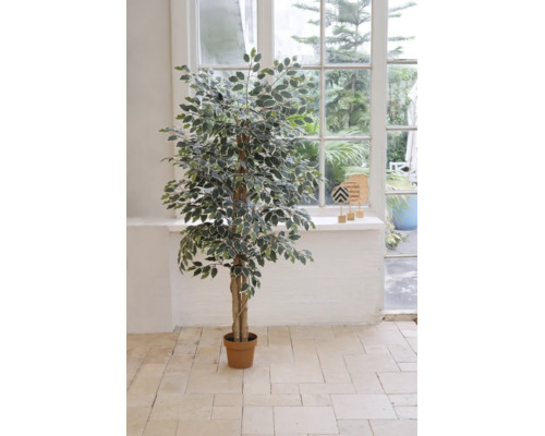 Künstlicher Ficus benjamina mit panaschierten Blättern in einem braunen Topf, stehend in einem hellen Raum vor einem Fenster.