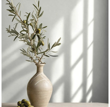 Olivenzweig mit Oliven in einer dekorativen Keramikvase in einem hellen Raum mit Lichteinfall und Schatten.