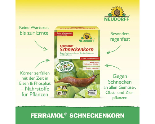 Neudorff Ferramol Schneckenkorn gegen Nacktschnecken an Gemüse, Obst und Zierpflanzen. Regenfest, haustierschonend und ohne Wartezeit bis zur Ernte.