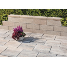Helle Terrasse mit strukturierten, rechteckigen Bodenplatten und einer niedrigen Gartenmauer aus Betonsteinen.