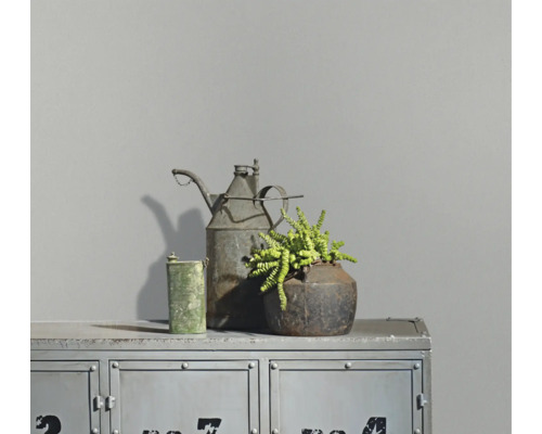 Matte graue Wandfarbe in einem modern gestalteten Innenraum mit industriellem Metallschrank und Dekoration.