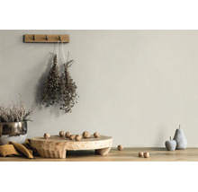 Matte Wandfarbe in beigem Naturton in einem hellen, rustikalen Raum mit Holzdekoration und Trockenpflanzen.