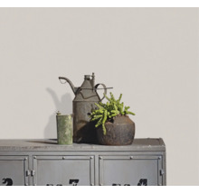 Metallschrank im Industrial-Stil mit Vintage-Ölkanne, grünem Gefäß und einer Sukkulente im rustikalen Metalltopf vor einer hellen Wand.