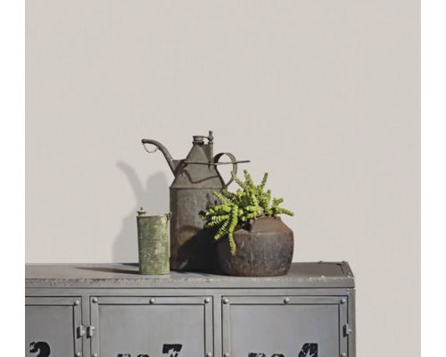 Metallschrank im Industrial-Stil mit Vintage-Ölkanne, grünem Gefäß und einer Sukkulente im rustikalen Metalltopf vor einer hellen Wand.