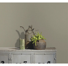 Matte Wandfarbe an einer Wand hinter einem industriellen Metallschrank mit rustikaler Dekoration und einer Sukkulente.