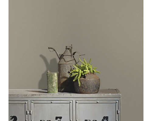Matte Wandfarbe an einer Wand hinter einem industriellen Metallschrank mit rustikaler Dekoration und einer Sukkulente.