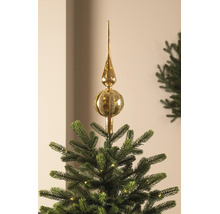 Goldene Christbaumspitze aus Glas mit glänzenden und glitzernden Streifen auf einem Tannenbaum.