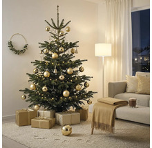 Festlich dekorierter Weihnachtsbaum mit goldfarbenem Schmuck und warmweißer Beleuchtung in einem hellen Wohnzimmer mit Sofa und Geschenken.