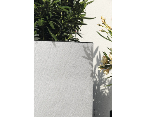 Lechuza Pflanzgefäß mit Steinstruktur, bepflanzt mit einem Oleander und ausgestattet mit einem Wasserstandsanzeiger.