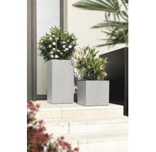 Zwei graue Pflanzgefäße in Steinoptik mit weißen Blumen auf hellen Steinstufen in einem modernen Außenbereich.