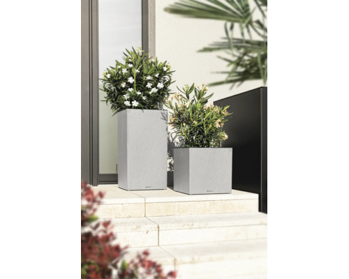 Zwei graue Pflanzgefäße in Steinoptik mit weißen Blumen auf hellen Steinstufen in einem modernen Außenbereich.
