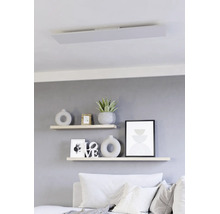 Flaches LED Panel als Deckenleuchte in einem modern eingerichteten Wohnzimmer über Wandregalen mit Dekoration.