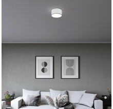 Moderne, zylindrische Deckenleuchte in einem minimalistisch eingerichteten Wohnzimmer mit Sofa und abstrakten Bildern an einer grauen Wand.