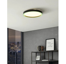 Moderne runde LED-Deckenleuchte mit schwarzem Rahmen und grünem Lichtring in einem Zimmer mit grauer Wand und Metallregal.