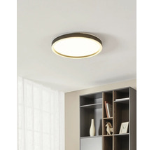 Moderne, runde LED-Deckenleuchte in einem minimalistischen Raum über einem dunklen Regal.