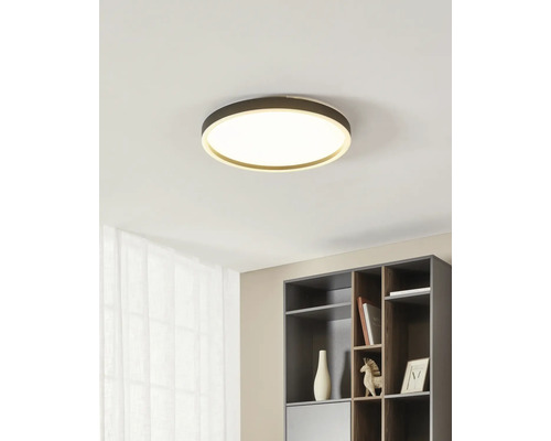 Moderne, runde LED-Deckenleuchte in einem minimalistischen Raum über einem dunklen Regal.