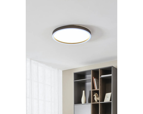 Moderne runde LED-Deckenleuchte in einem hellen, organisierten Innenraum mit Regal und Vorhang.