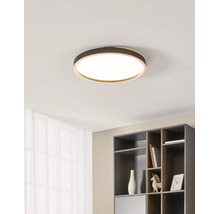 Moderne, runde LED-Deckenleuchte mit warmweißem Licht und farbigem Rand an einer Decke in einem hellen, organisierten Raum mit Regal.