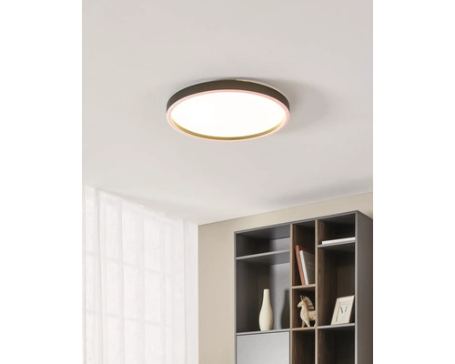 Moderne, runde LED-Deckenleuchte mit warmweißem Licht und farbigem Rand an einer Decke in einem hellen, organisierten Raum mit Regal.