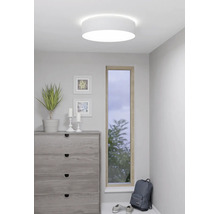 Runde weiße Deckenleuchte in einem modernen Zimmer mit einer Kommode, einer Pflanze und einem schmalen Fenster.