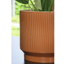 Nahaufnahme eines zylindrischen, terrakottafarbenen Blumentopfs aus Keramik mit vertikal gerippter Oberfläche und einer Pflanze.