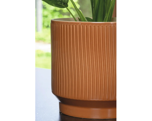 Nahaufnahme eines zylindrischen, terrakottafarbenen Blumentopfs aus Keramik mit vertikal gerippter Oberfläche und einer Pflanze.