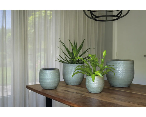 Vier strukturierte, runde Blumentöpfe in verschiedenen Größen auf einem Holztisch, zwei davon mit Zimmerpflanzen, in einem hellen Raum.