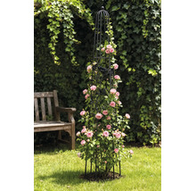 Schwarzer Gartenobelisk aus Metall als Rankhilfe für rosa Kletterrosen auf einer Rasenfläche.