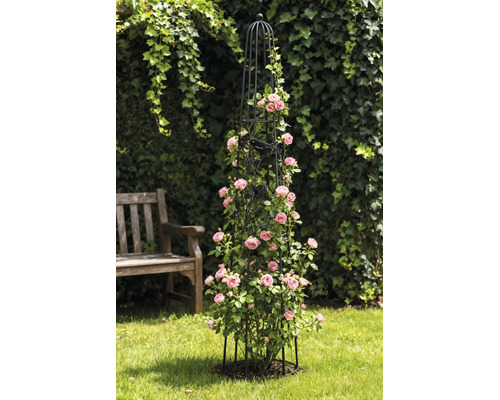 Schwarzer Gartenobelisk aus Metall als Rankhilfe für rosa Kletterrosen auf einer Rasenfläche.