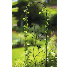 Dekoratives Rankgitter aus Metall mit Rundbogen, Blatt- und Vogelmotiven, bewachsen mit einer Kletterpflanze in einem Garten.