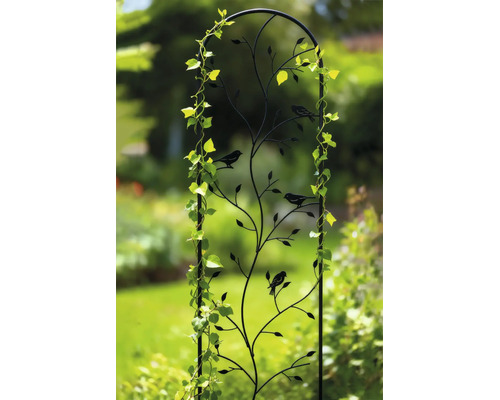 Dekoratives Rankgitter aus Metall mit Rundbogen, Blatt- und Vogelmotiven, bewachsen mit einer Kletterpflanze in einem Garten.