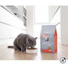 Graue Katze frisst Trockenfutter aus einem Napf neben einer Packung Finevo Katzenfutter in einer hellen Küche. (Image AI modified or generated)