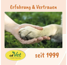 Eine Hand hält die Pfote eines Hundes als Symbol für Erfahrung und Vertrauen bei cdVet seit 1999.