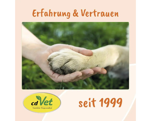 Eine Hand hält die Pfote eines Hundes als Symbol für Erfahrung und Vertrauen bei cdVet seit 1999.