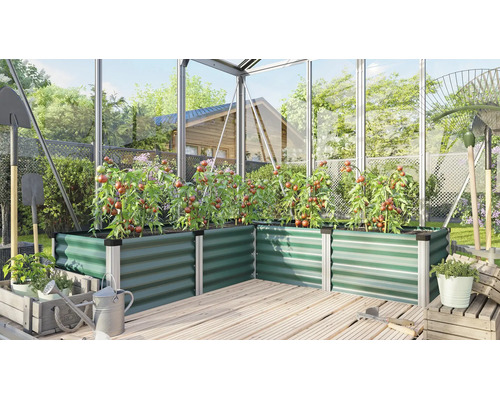 Grünes Hochbeet aus Metall in einem Gewächshaus mit angebauten Tomatenpflanzen auf einer Holzterrasse.