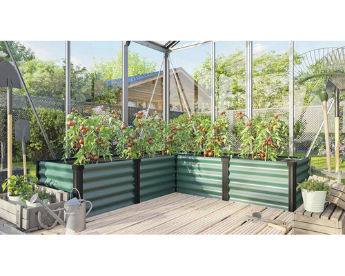 Winkel Hochbeet aus Metall in einem Gewächshaus mit angebauten Tomatenpflanzen auf einer Holzterrasse.