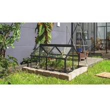 Ein kleines Frühbeet aus Glas mit schwarzem Metallrahmen auf einer Rasenfläche in einem Garten.